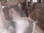 Die heiße Jennifer aus Holland ist von Schwänzen umringt #12