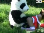 Rotkäppchen fickt einen Panda in den Wald #10