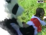 Rotkäppchen fickt einen Panda in den Wald #15