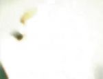 Masturbation in der Dusche #5