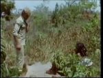 Vintage-Safarifick mit Deutschen #1