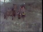 Vintage-Safarifick mit Deutschen #12