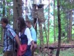 Deutscher Dreier im Wald #1