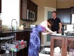 Vollbusige Hausfrau wird in der Küche gevögelt #4